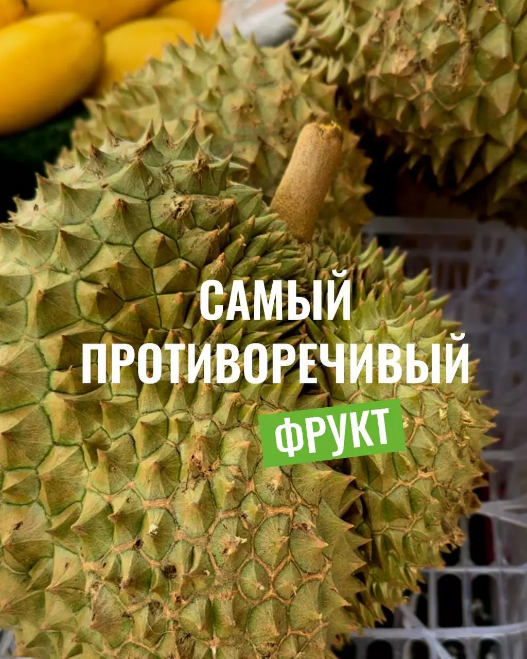 Чем полезен дуриан питательные вещества