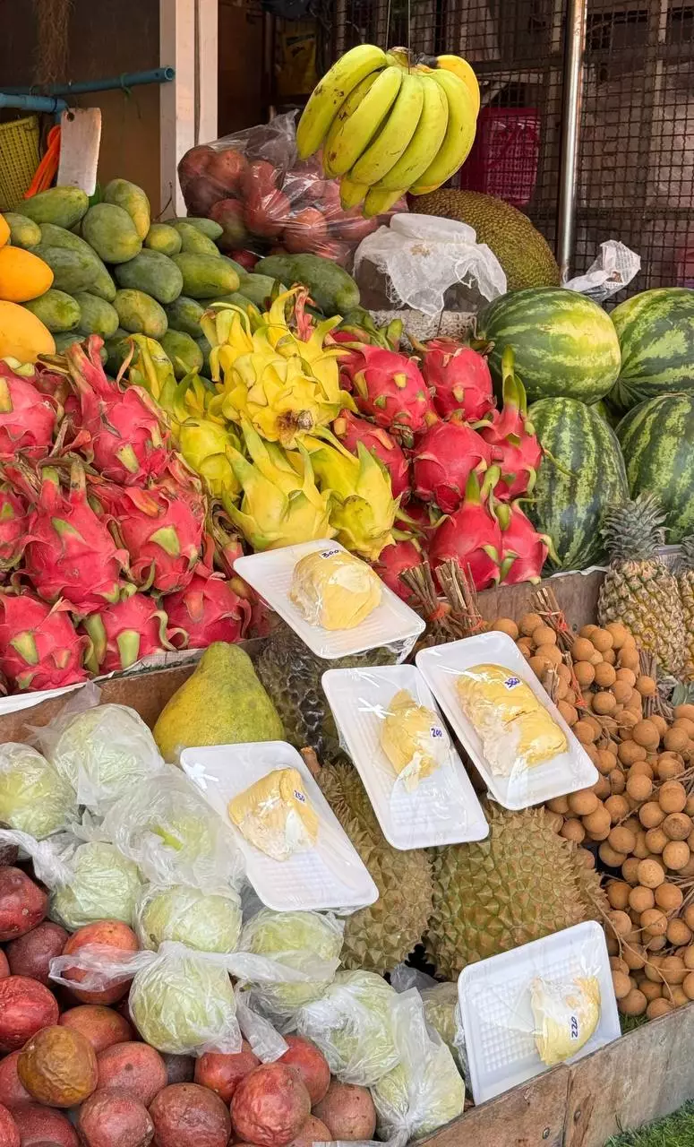 What does durian taste like exotic fruit