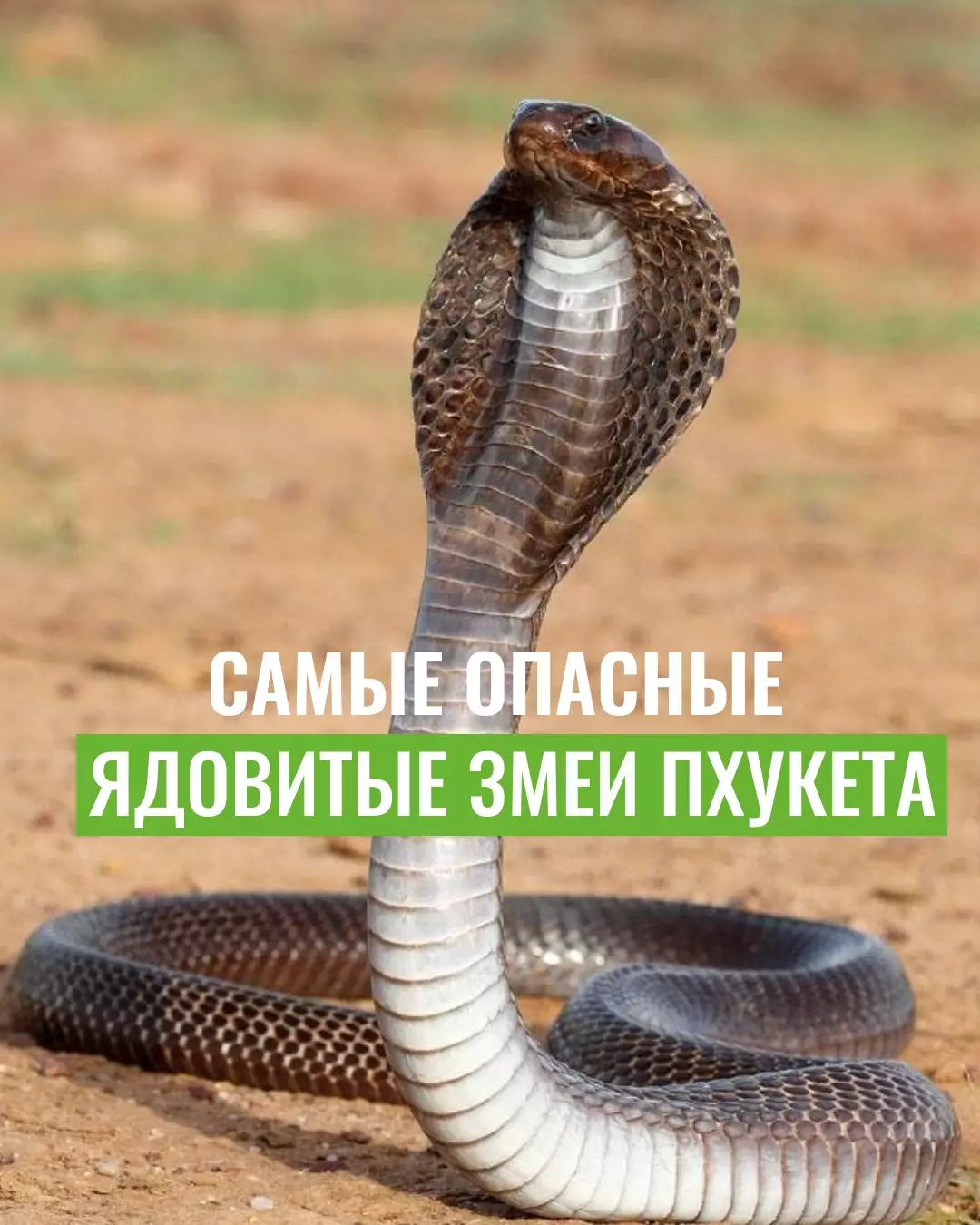 hBiYgmBLLXgkdL1MqKqDriSKulFeupcx