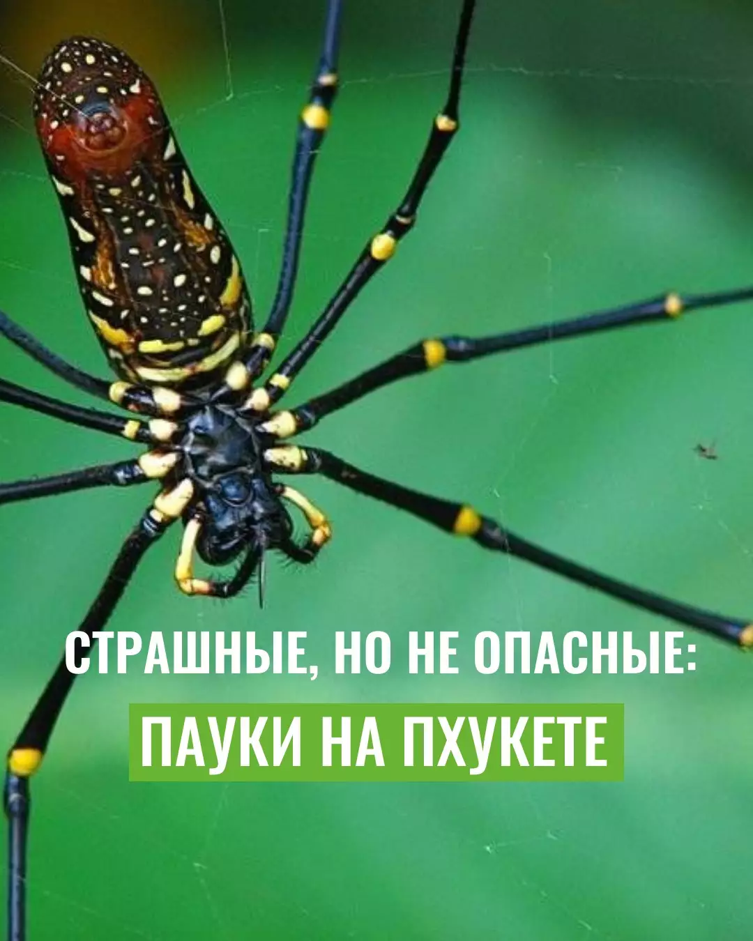SQPeaoAEXX175UYQVYRV-U-RrRgoNjFV