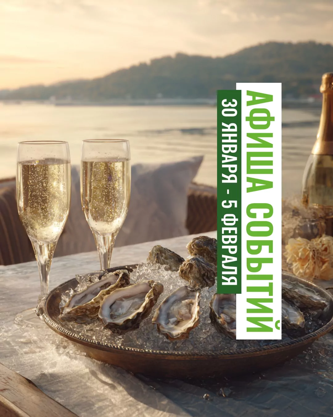 gZOOLhQyc8fwCbCWg3jpwgyAseM-jxNO