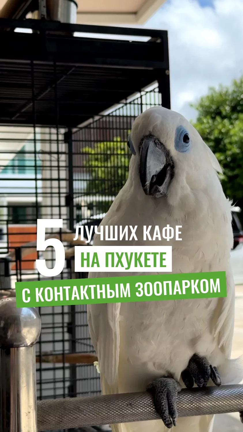 idopAigYBQ9h5UXQ8T4QwhtxG1NF0Rw3