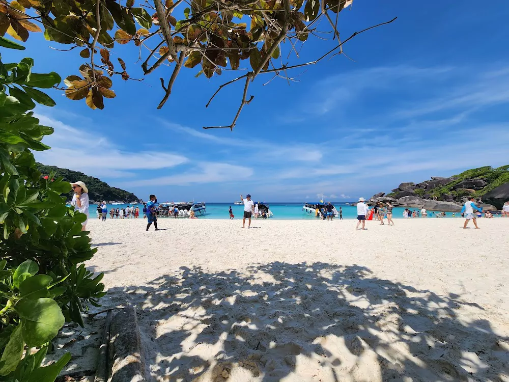 o5nj3iN0EsjGQfZU6nfgf6YRSbYyIrZg