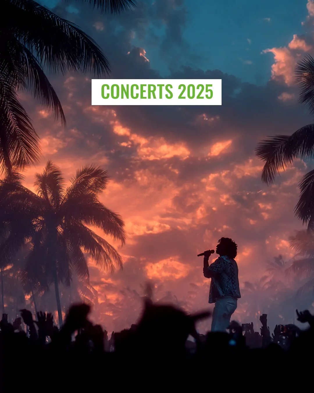 Concerts 2025 address
