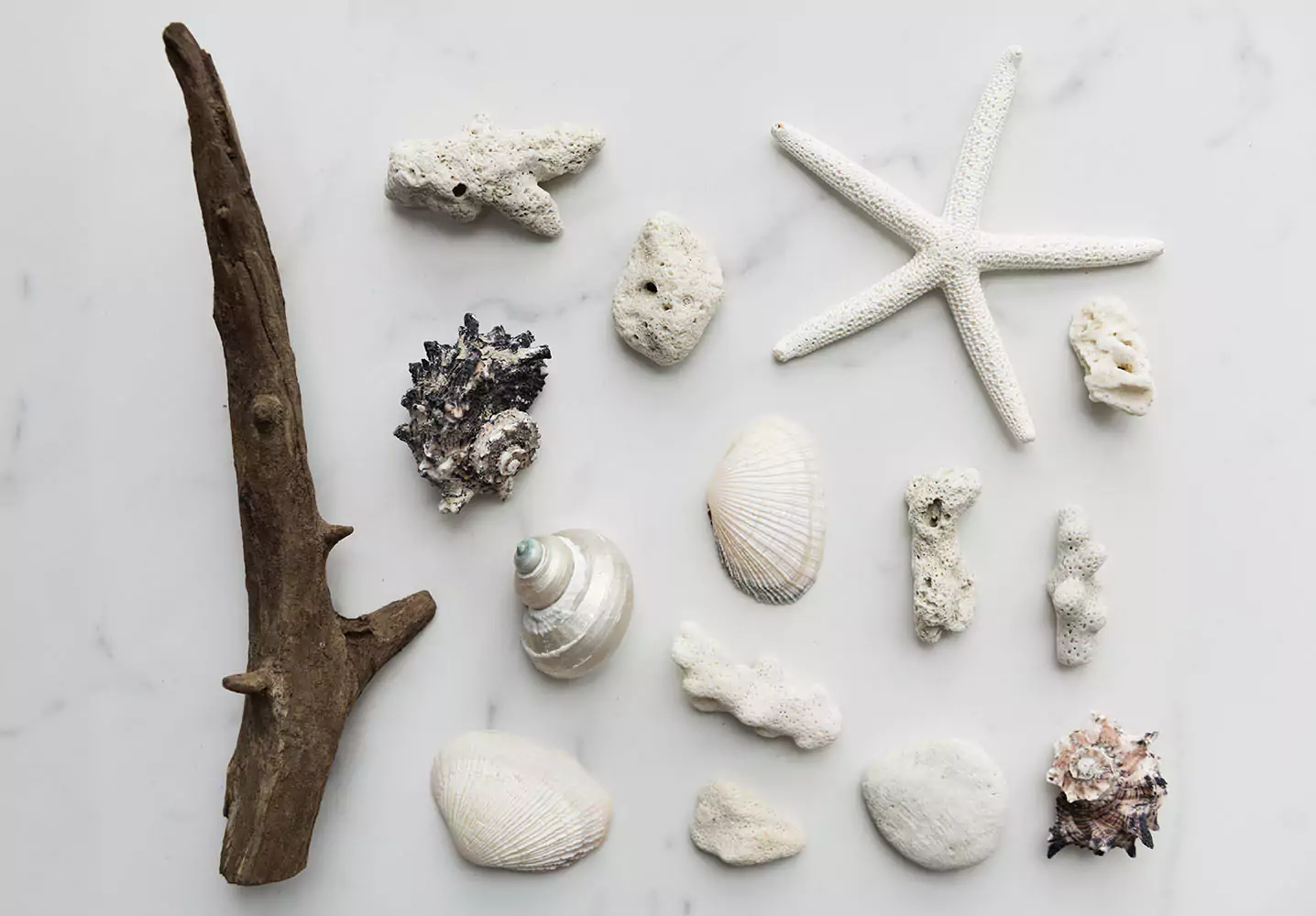 Beach theme decorations
