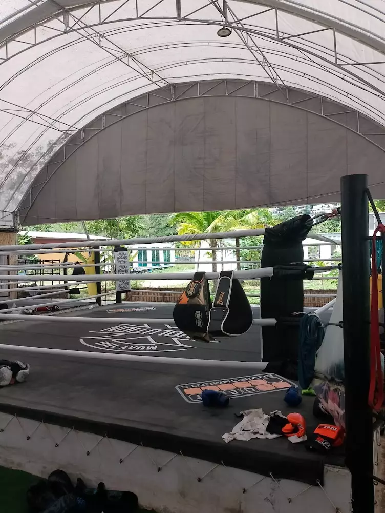 Bang Tao, Revolution Muay Thai Camp где находится