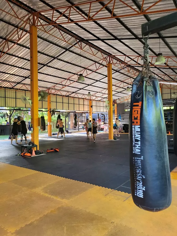 Chalong, Tiger Muay Thai address