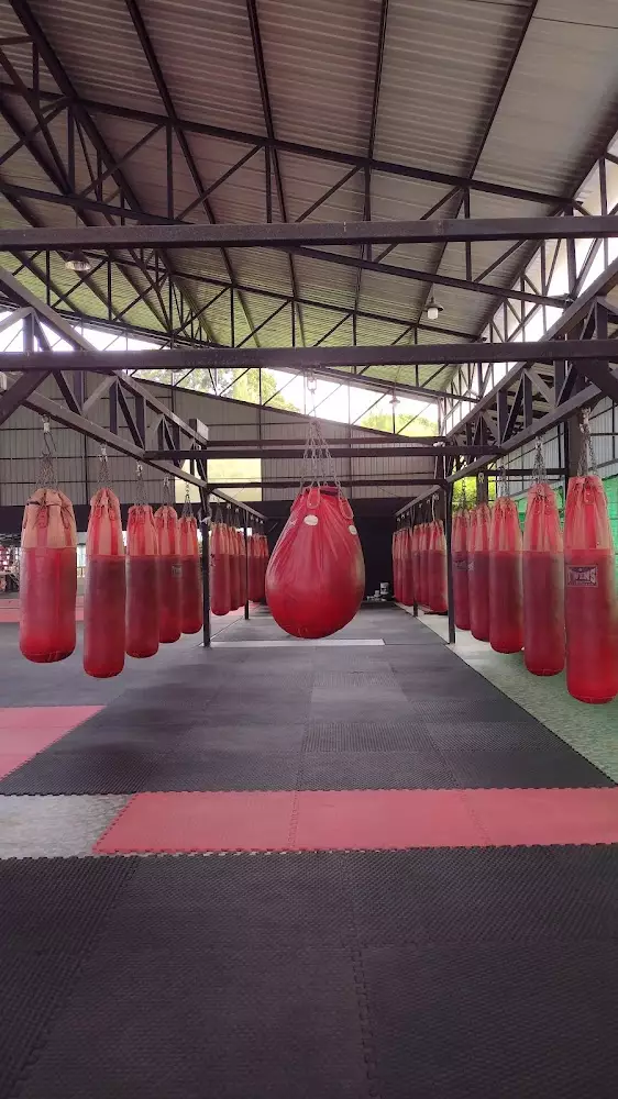 Rawai, Sinbi Muay Thai opening hours