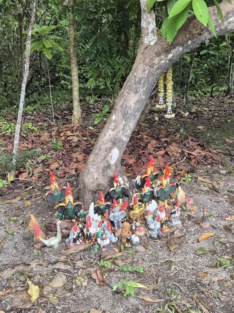 Krabi, Khao Pra Bang Kharm сходить