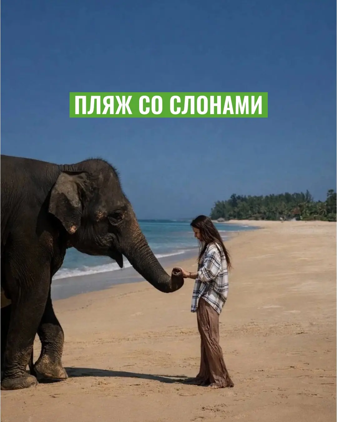 Экскурсия Путь Аватара найти