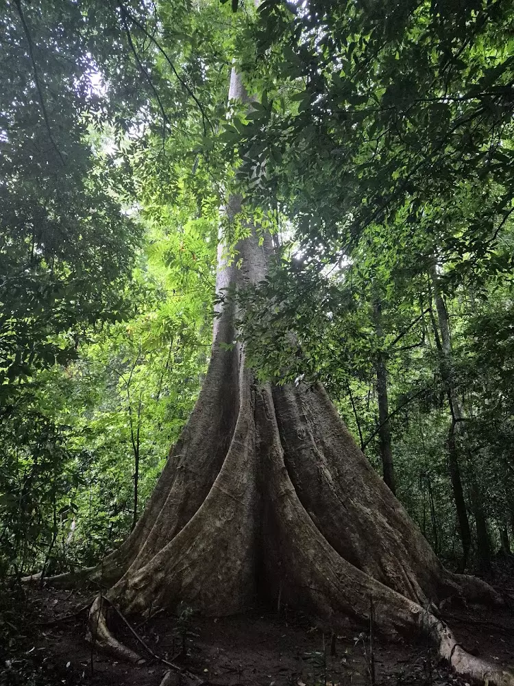 Krabi, Khao Pra Bang Kharm часы работы