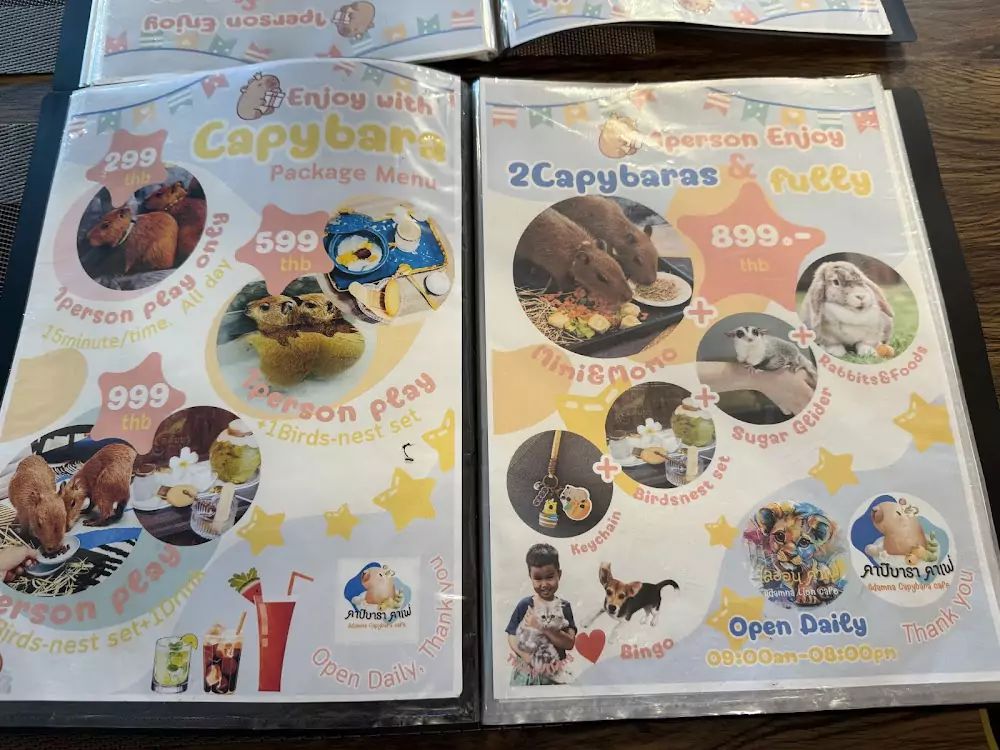 Phuket Town, capybara cafe route