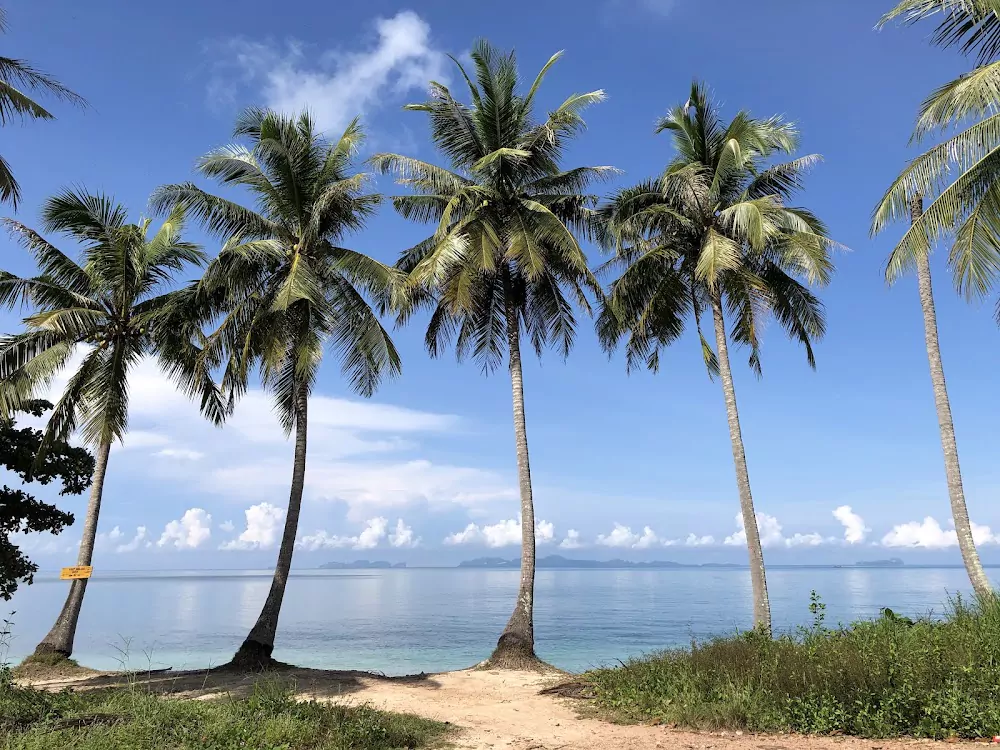 EuxCmD39no3Nqr1GO3lRF_4oEKQpsdSZ