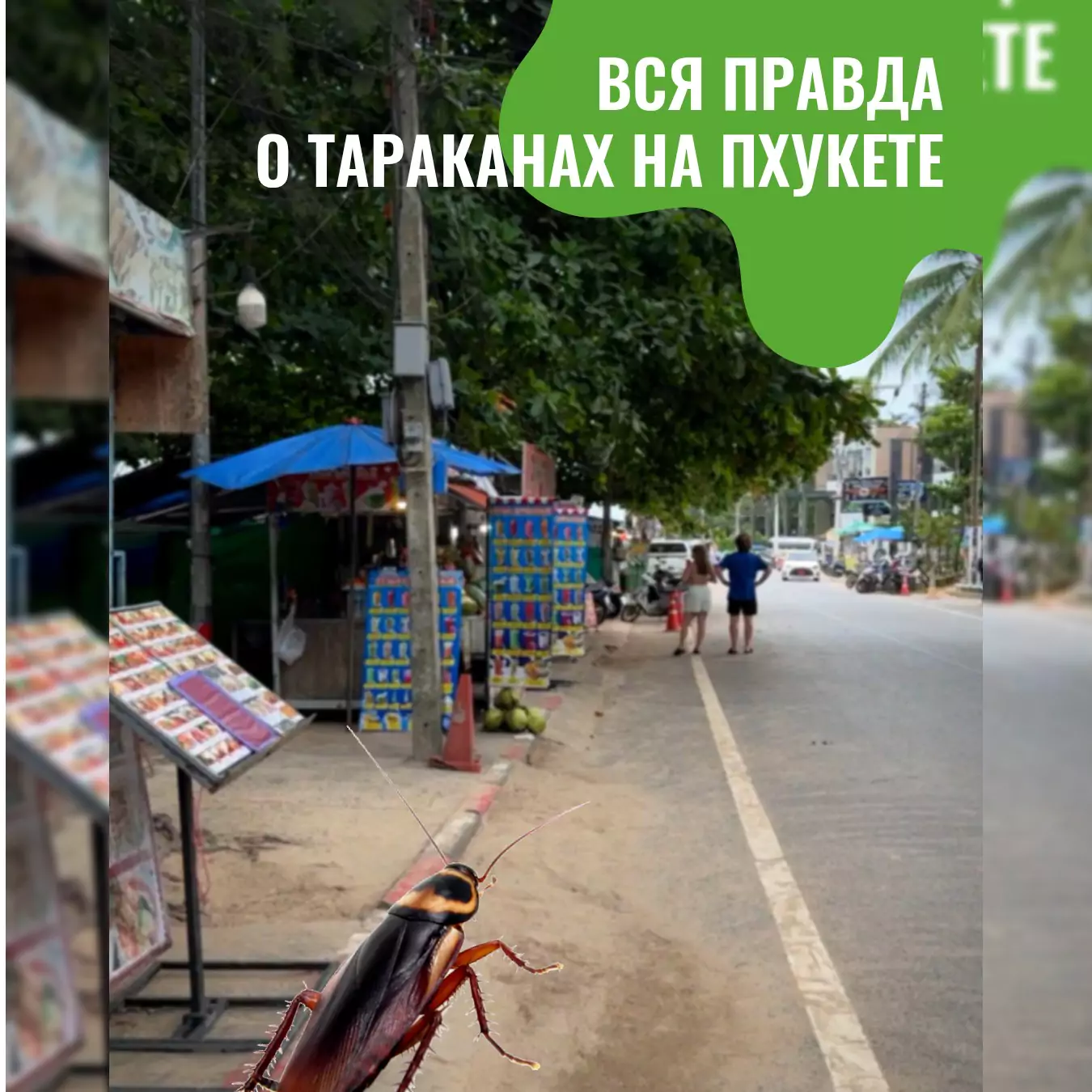 F-3G-7p_IEAXiIU6eQNT_IsV9kVRoh0k