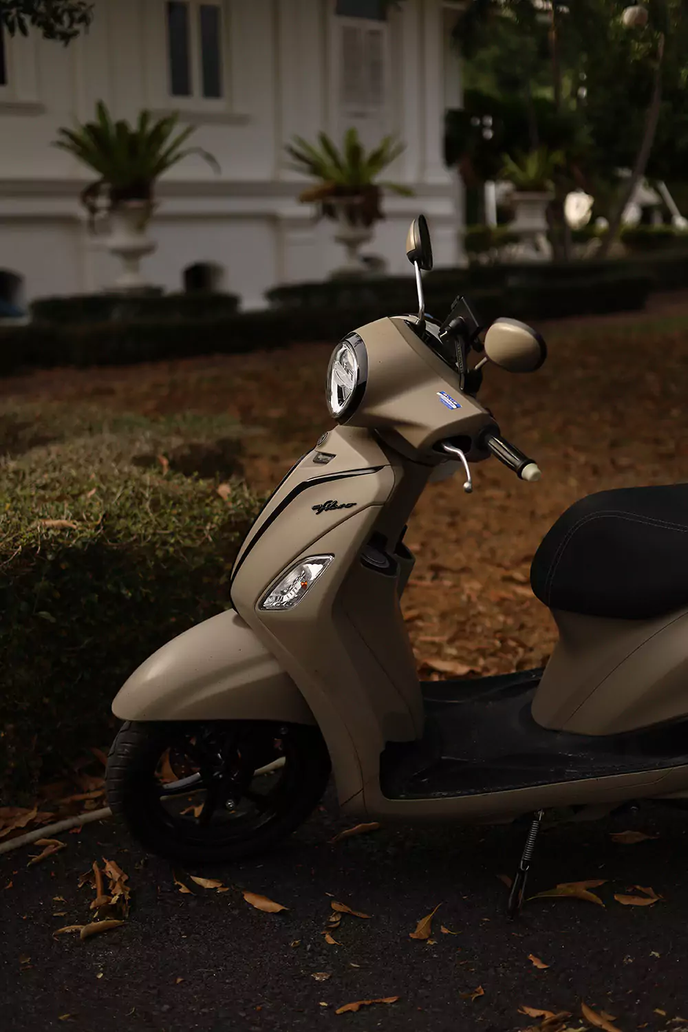 Farang Rental visit