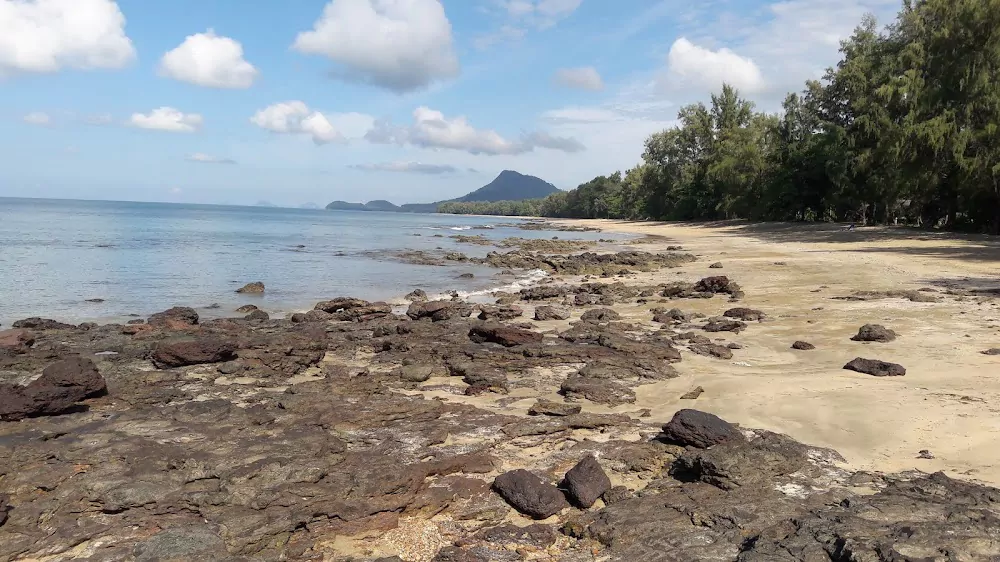 nEaTFml2B0j5lsc1-FXdINJH5eg9iqP8