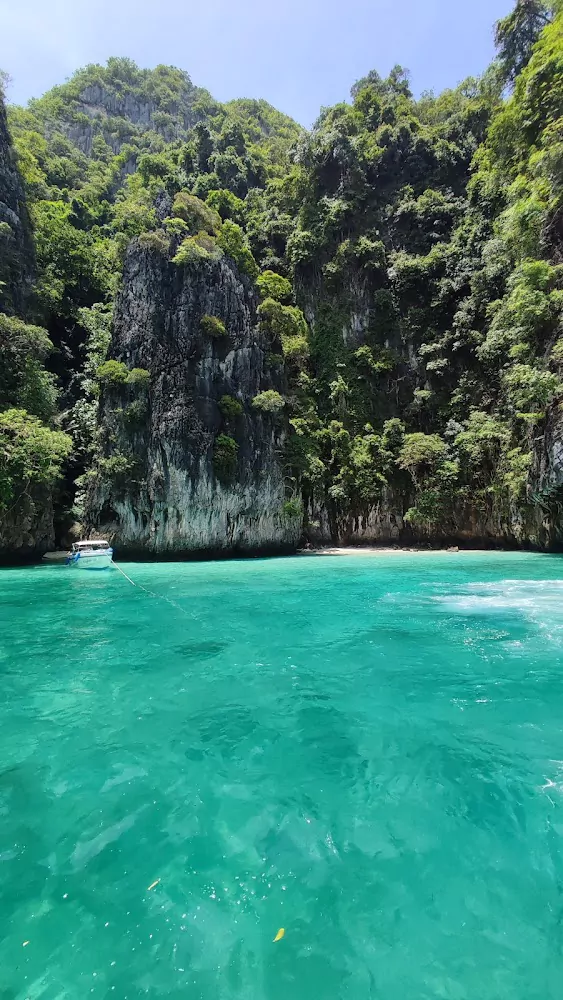 Nn2Z94AX-Z6xlaQXcjyHSJnvvMRH5oot