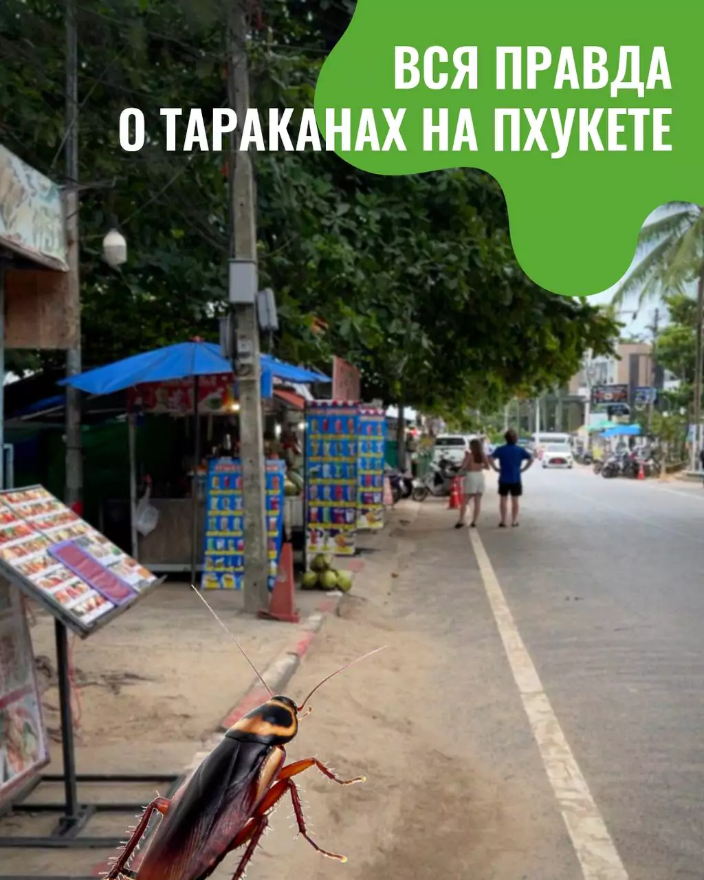 Z7AMGBg0kA2vlx6yo0LsgUHSWC9bXn5h