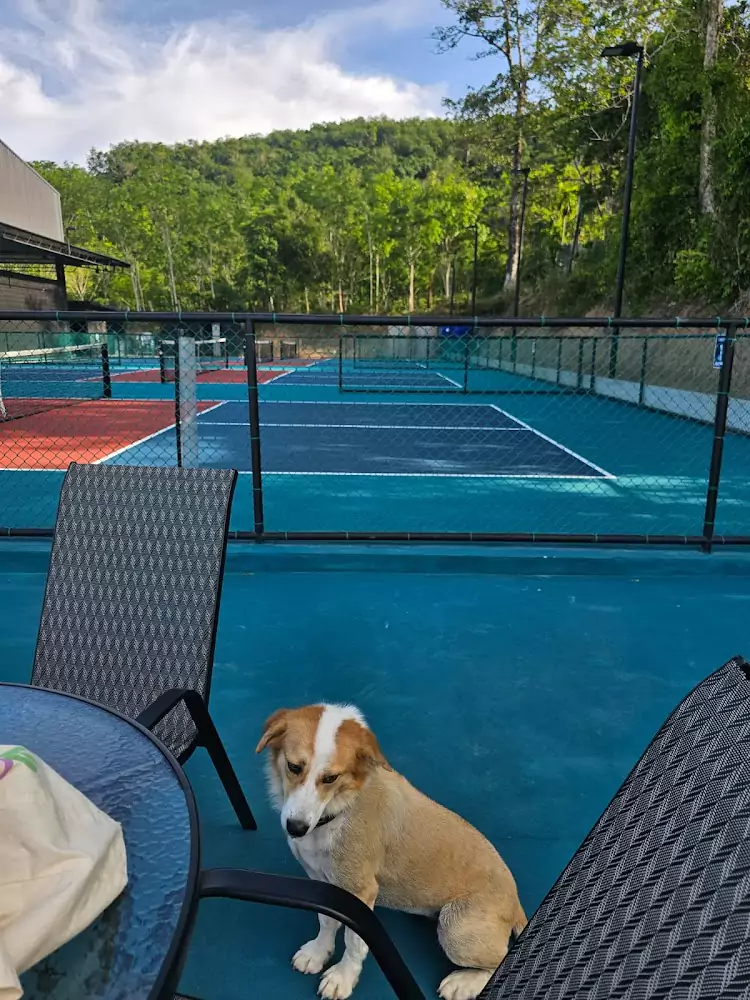 Си Сунтон, Pickleball Phuket | Raccoon Pickleball как доехать