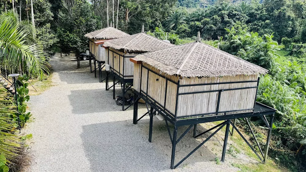 1LZ87cuMZowZ7PDMEUXgWnl-MiNae8EK