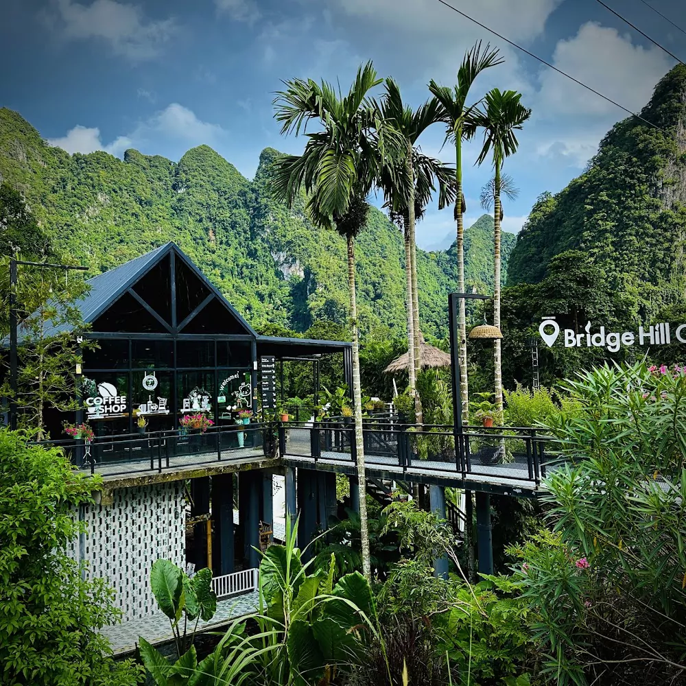 _c6iVWXwsynNwmnbHMLRLFuYOFw9y70T