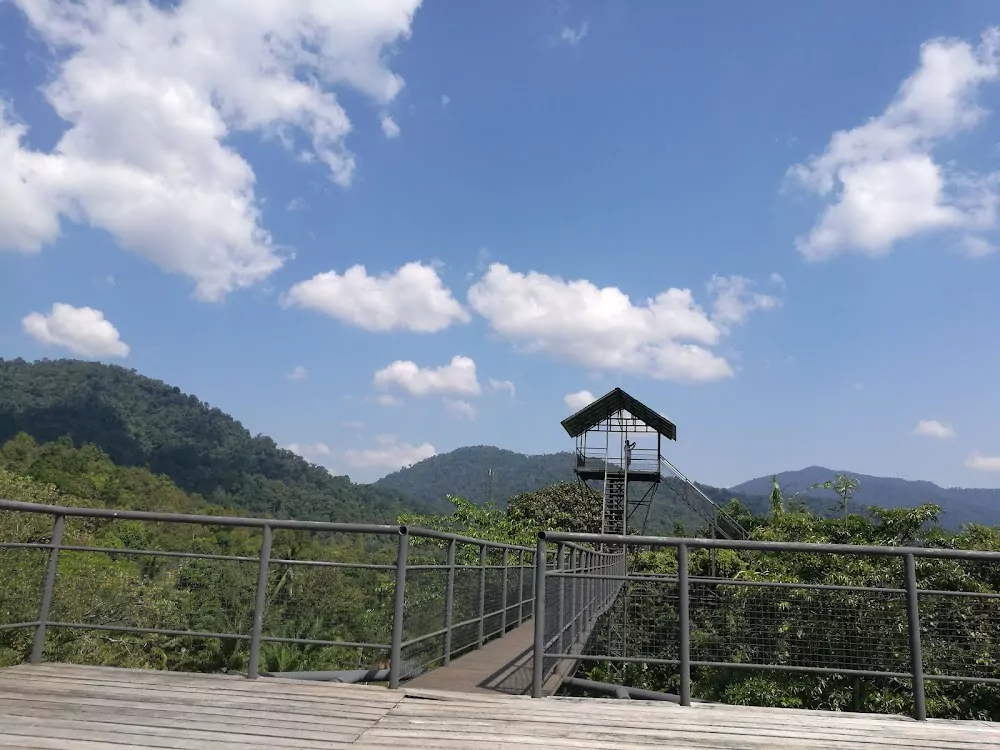 kx9NoyxQSPW3u8VN38XCtAj2JMkXyAyM