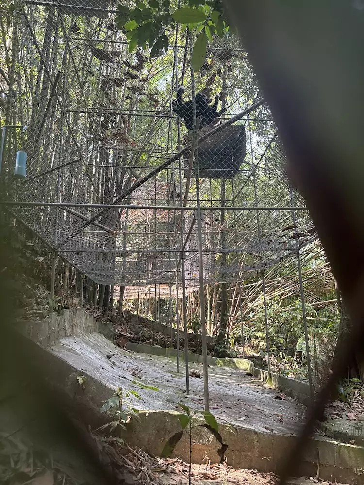 Pa Klok, The Gibbon Rehabilitation Project visit