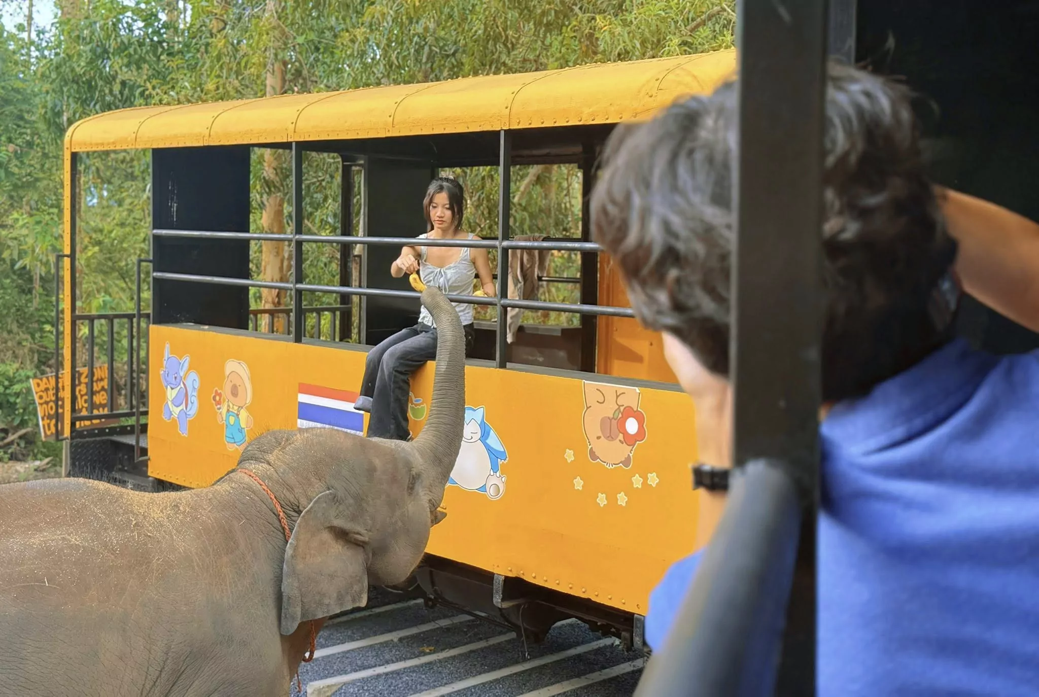 Банг Тао, Elephant Care Park Nai Dee Phuket точный адрес