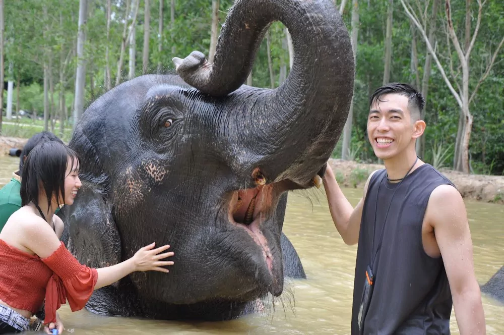 Bang Tao, Elephant Care Park Nai Dee Phuket visit