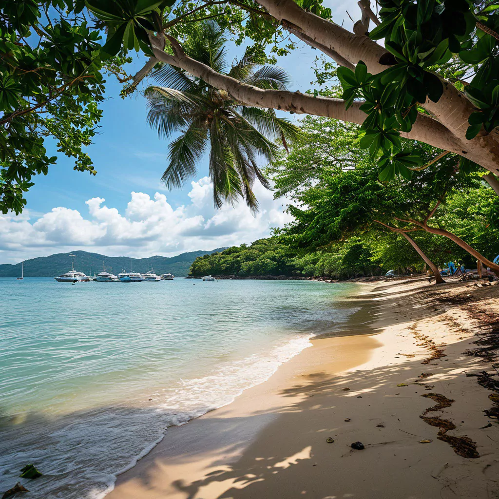 AMtZwElCTV0I5KQVQAYI3oHAe1fiYcG8