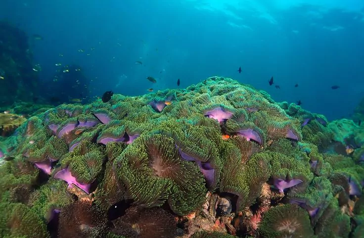 aSKwvw8kcvbAWQ1QdX0mqtuYuPOwLmoE