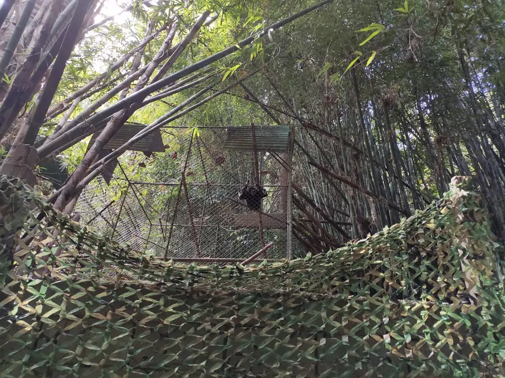 Pa Klok, The Gibbon Rehabilitation Project location