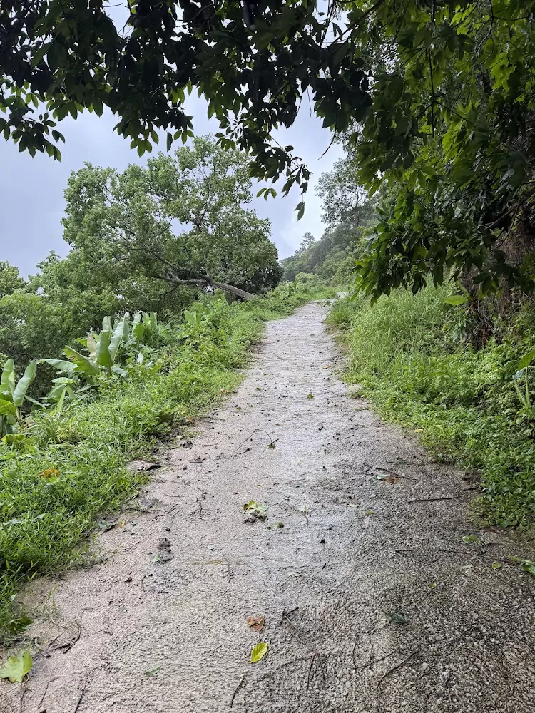 BYXXibKdSp7vFEFunaXRihUwsj20sIZn