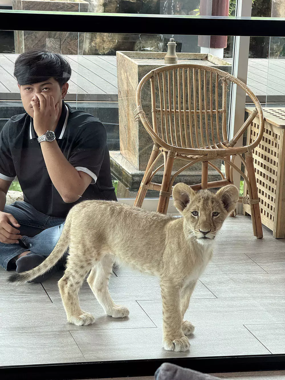 Chalong, Lion Cafe how to reach