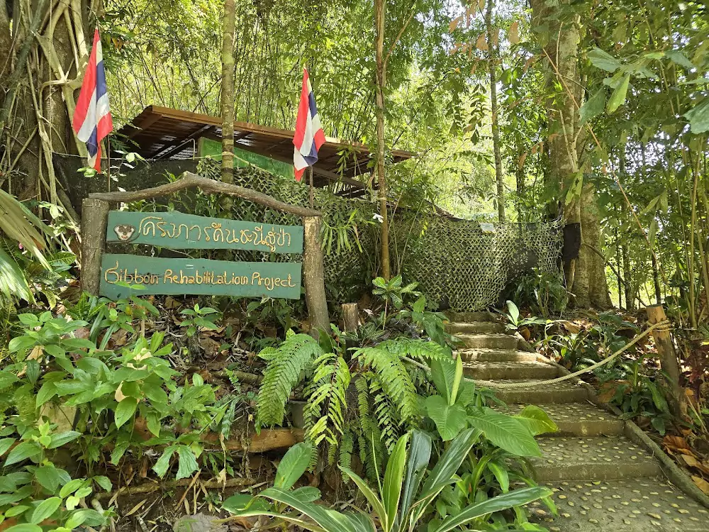 Pa Klok, The Gibbon Rehabilitation Project photo
