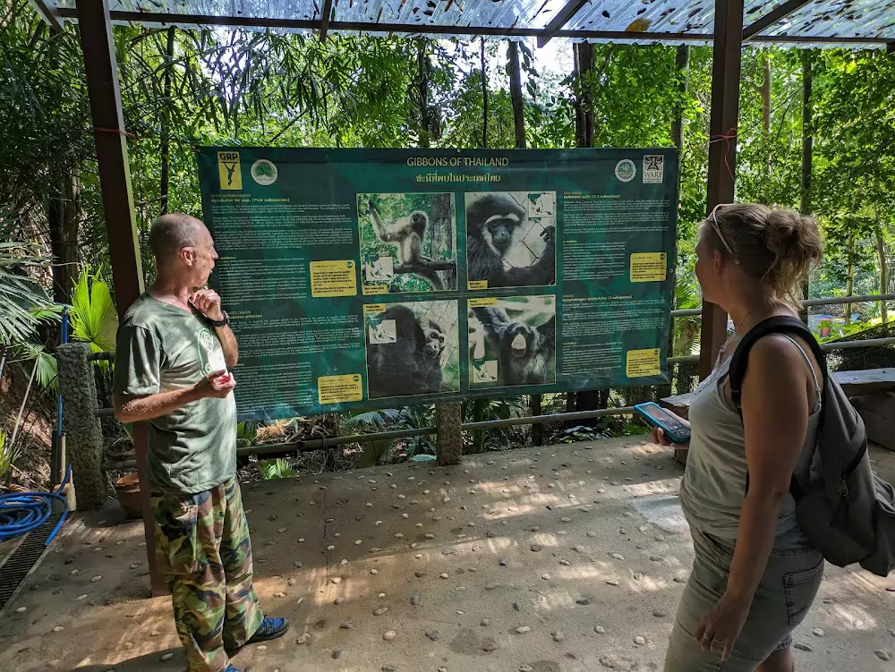 Pa Klok, The Gibbon Rehabilitation Project photo