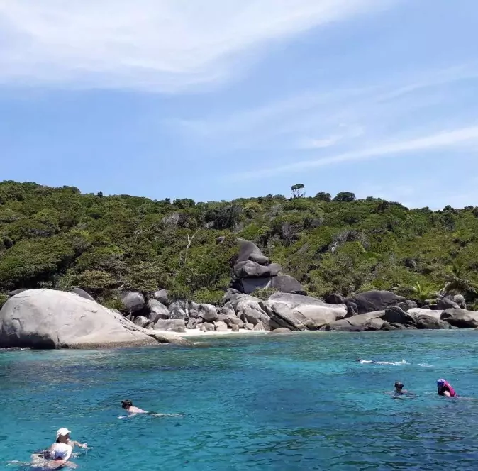 Fp9Pr_Zcy6X0MSoOaiUBp9UAVJMU7rFl