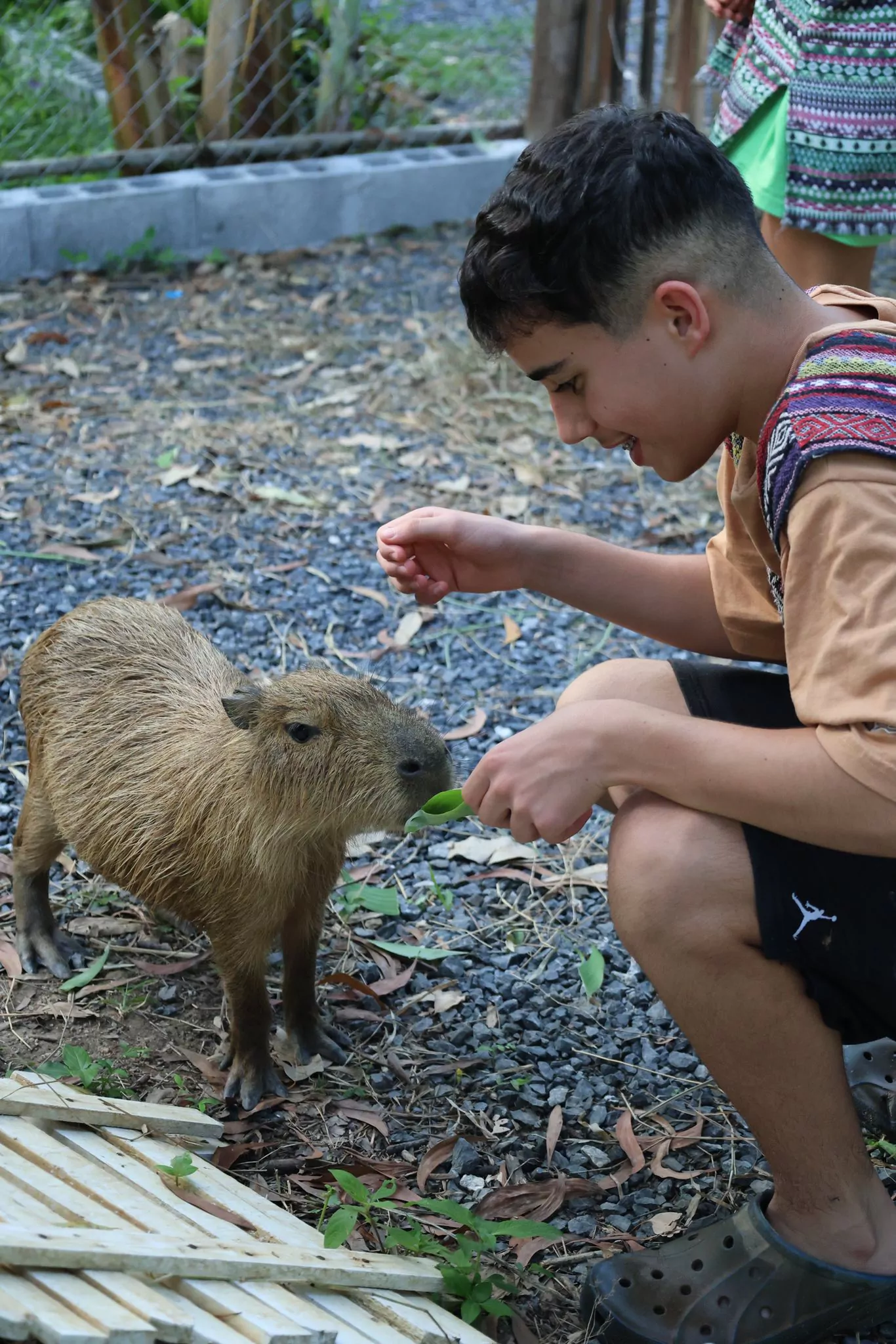 Банг Тао, Elephant Care Park Nai Dee Phuket добраться самостоятельно