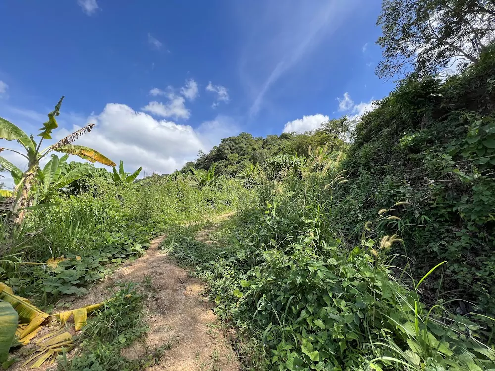 k7T4LEr3s6lcOhjNN37hMkokh275JtlS