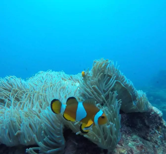 lHyupQksO6EuGt-2HZipq8GzWs0gGa6f