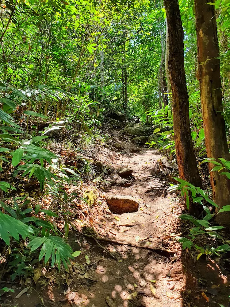 LnxcLJrAwv5h6KGWc0xjKZa6vg_KvIvH