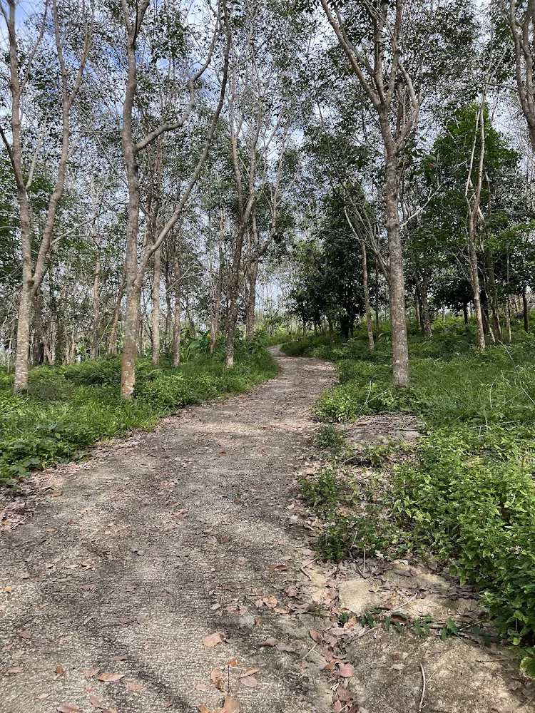 odc0DftiFv38WxrCg7tpdIiMmpO96hni