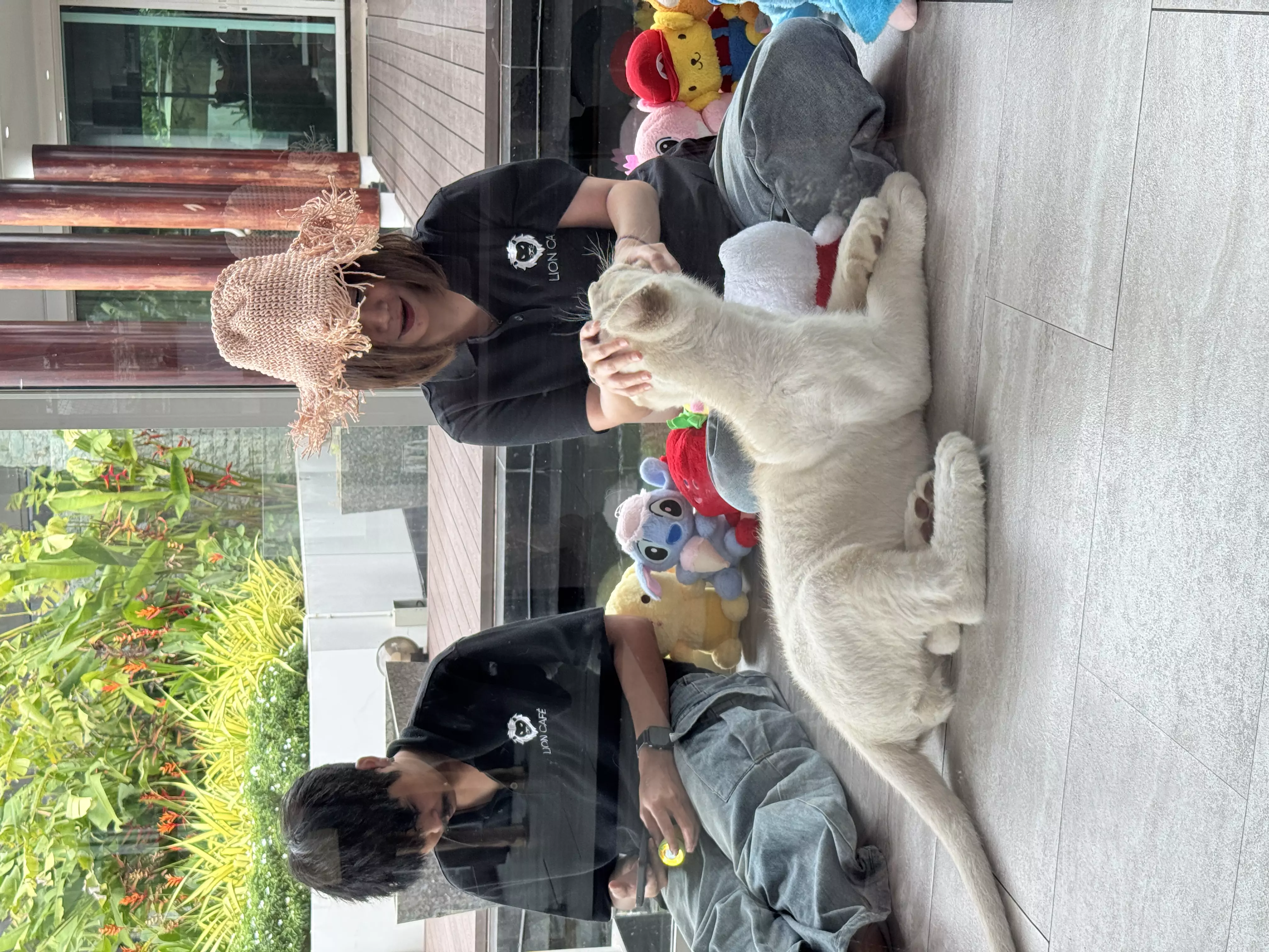 Chalong, Lion Cafe location