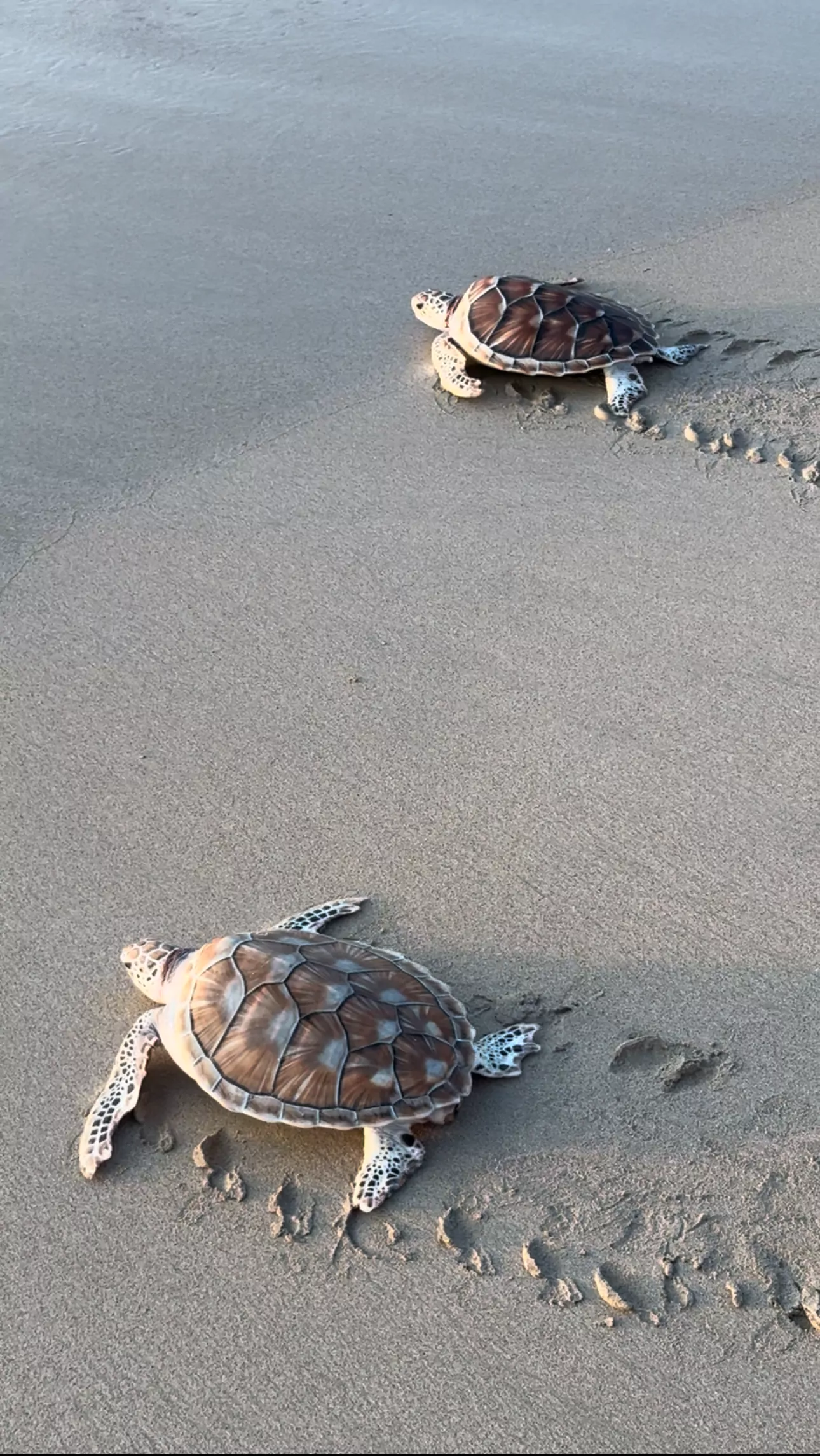 sozld4kswwyxoMis1R5Q1aZKoHJ5EK0F