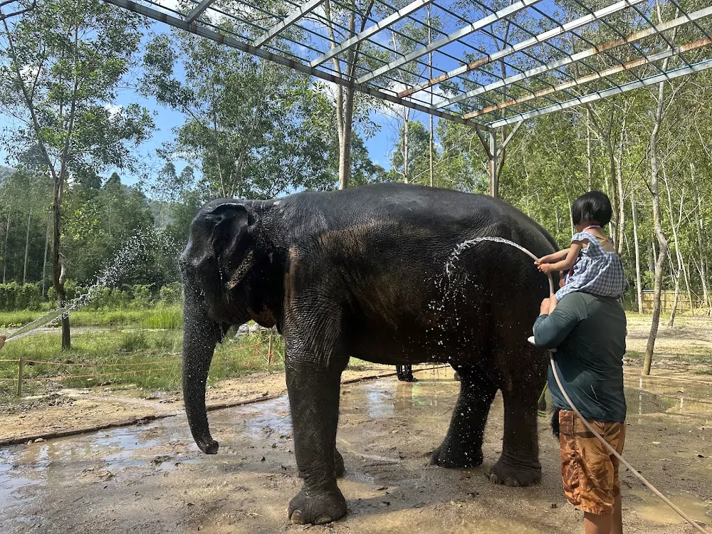 Bang Tao, Elephant Care Park Nai Dee Phuket directions
