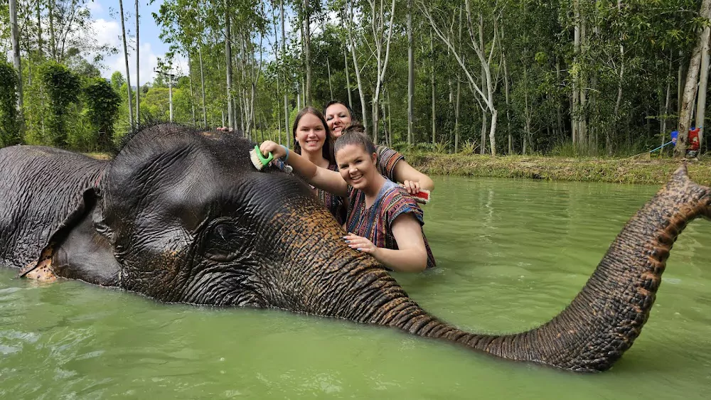 Bang Tao, Elephant Care Park Nai Dee Phuket find