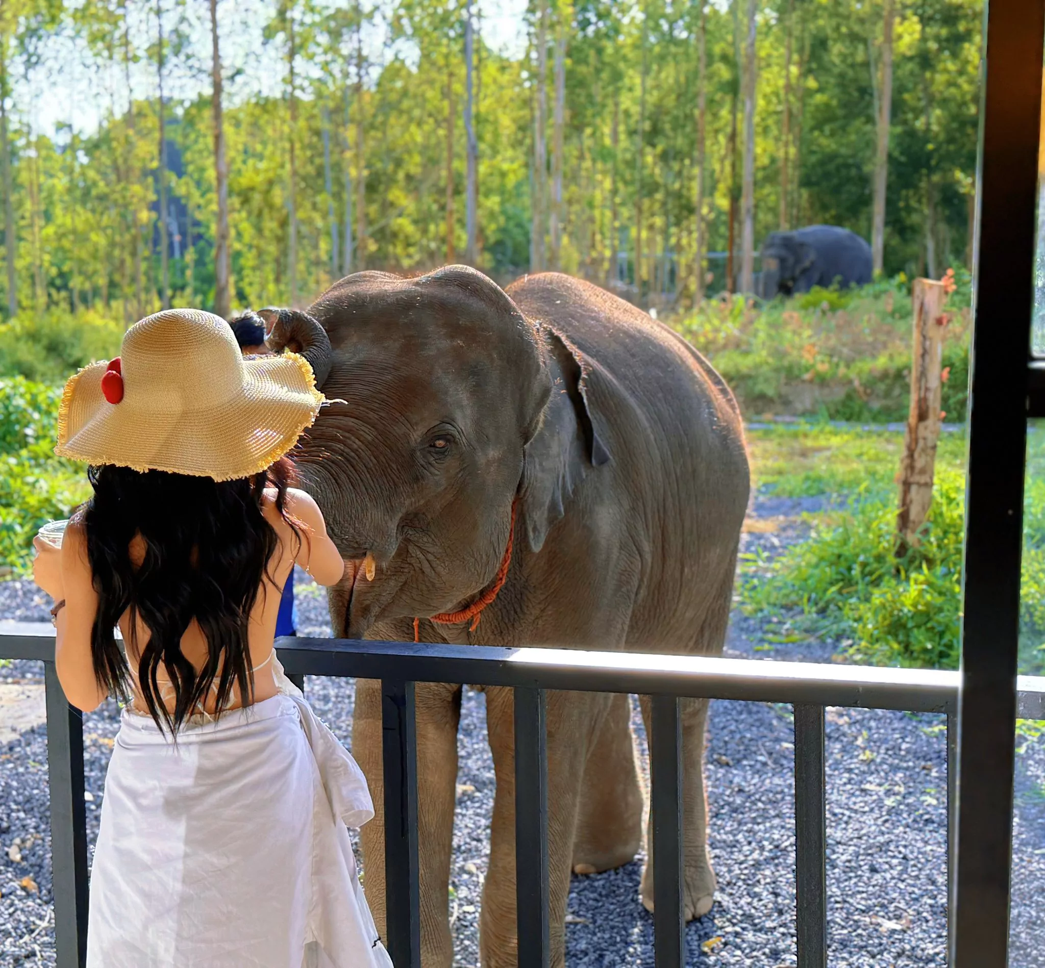 Банг Тао, Elephant Care Park Nai Dee Phuket карта