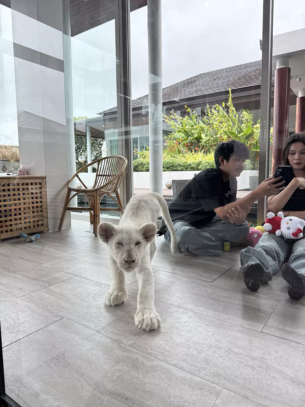 Chalong, Lion Cafe visit