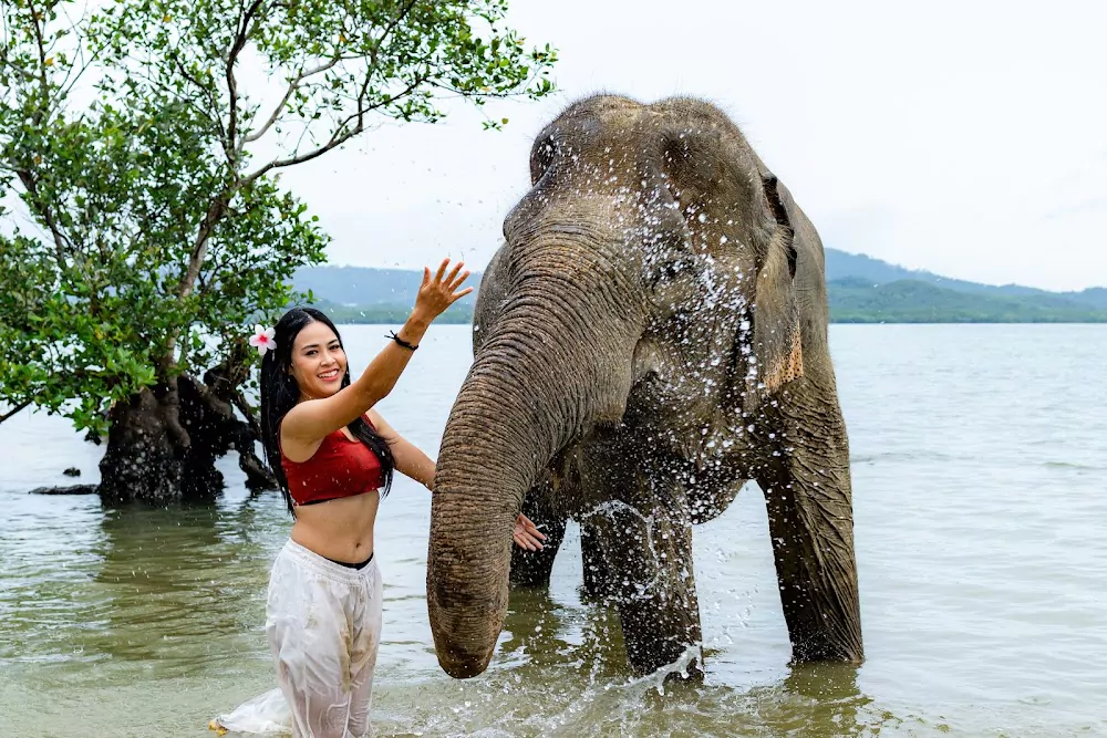 Rassada, Phuket Siray Elephant Care Camp visit
