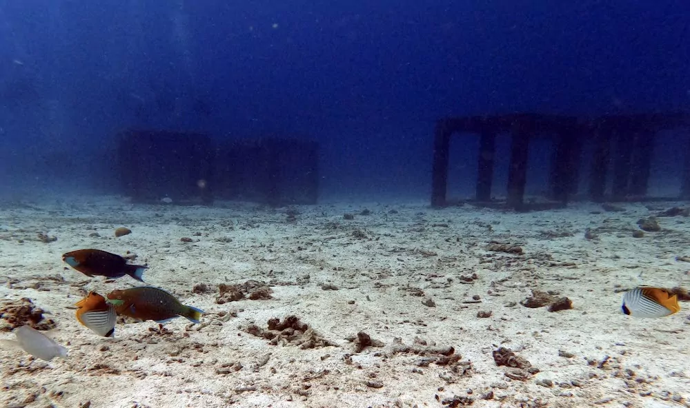 8TaecGnlah6VzPps1XpqVs_YzHDeKvLf